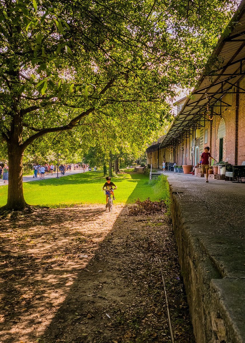 Adam Mistler tweet media