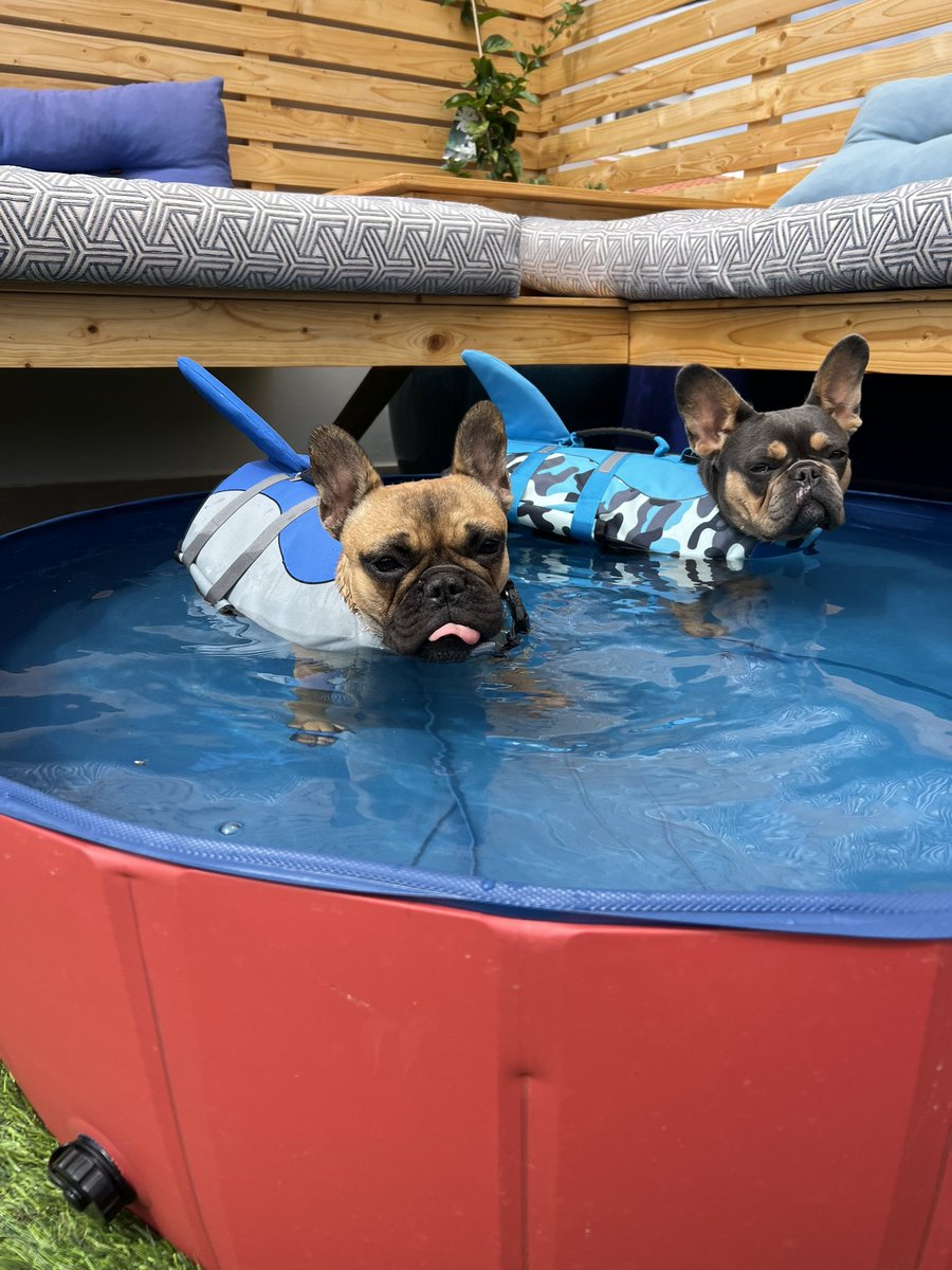 earthyman's tweet photo. Teaching skateboard, testing new life jackets and bouncy chairs https://t.co/A3DMXnqHFy