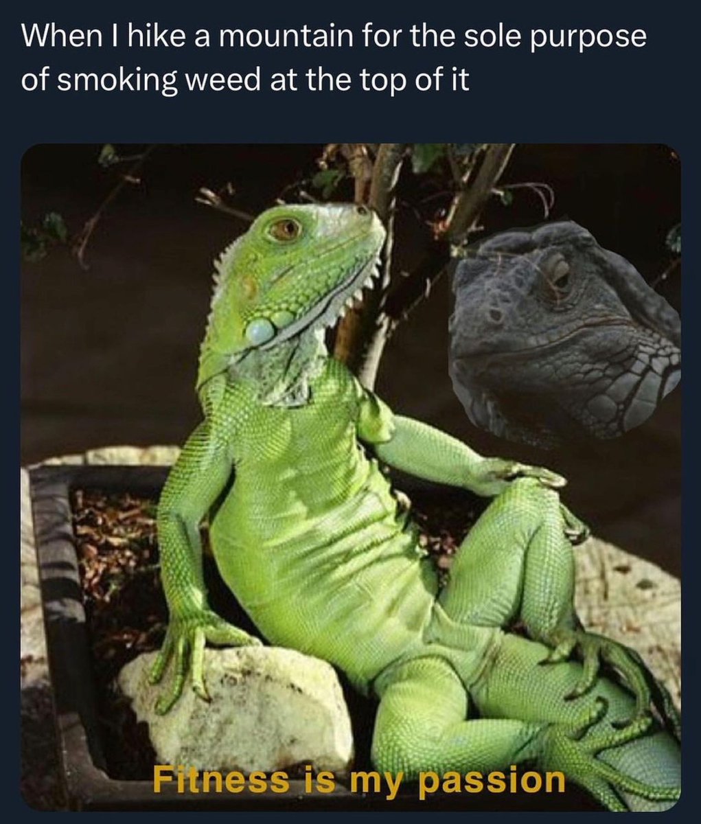 It's like smoking on top of the world 😶‍🌫️⁣
⁣
📸: beernweed, IG