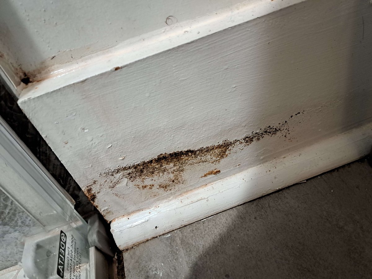 Mica Scotti Kole (On Hiatus) tweet media