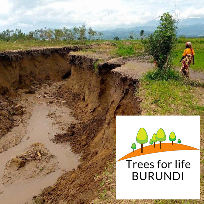 You can help raise money for The Bishop of Derby's Harvest Appeal by donating online #JustGiving justgiving.com/campaign/trees…