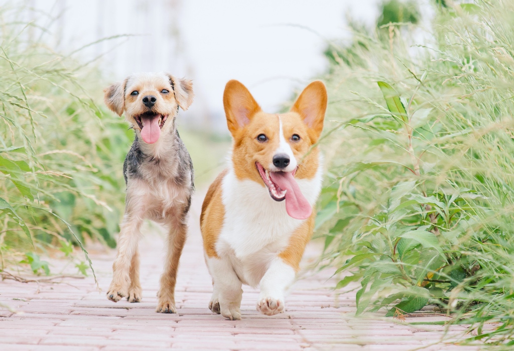 I oktober startar vi digitala samtalsträffar i Sällsynt mitt i livet igen! Tidigare deltagare har tyckt gemenskapen, igenkänningen och förståelsen varit fantastisk. Ta chansen du också!

Mer information finns här: sallsyntmittilivet.blogspot.com/2023/08/digita…

<a href="/Arvsfonden/">Arvsfonden</a> #SällsyntaLiv
