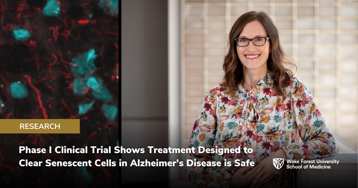 Wake Forest University School of Medicine (@wakeforestmed) on Twitter photo Research from <a href="/Orr_Lab/">OrrLab</a> shows that treatment to clear #senescent cells in #Alzheimer’s disease is safe in Phase I clinical trial. Learn more about the study, which appears in <a href="/NatureMedicine/">Nature Medicine</a>. <a href="/TheADDF/">Alzheimer's Drug Discovery Foundation</a> @nanostringtech brnw.ch/21wCn5E Research from <a href="/Orr_Lab/">OrrLab</a> shows that treatment to clear #senescent cells in #Alzheimer’s disease is safe in Phase I clinical trial. Learn more about the study, which appears in <a href="/NatureMedicine/">Nature Medicine</a>. <a href="/TheADDF/">Alzheimer's Drug Discovery Foundation</a> @nanostringtech brnw.ch/21wCn5E