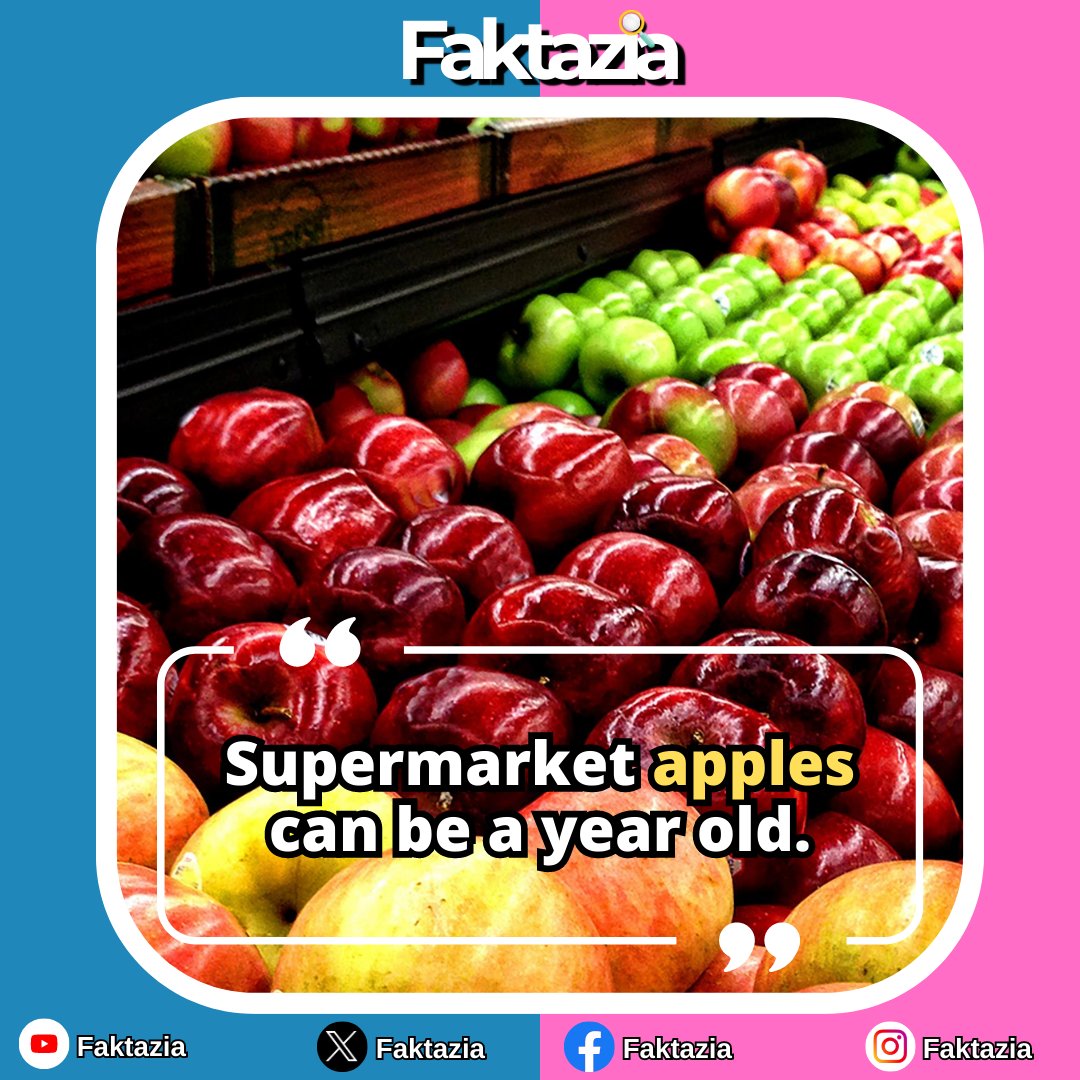 🍎 From Orchard to Aisle: Did You Know Supermarket Apples Can Be a Year Old? 🕒🛒

#facts #fact #amazingfacts #fakta #faktz #faktaunik #faktadunia #factsdaily #factbytes #quickfacts #factfriday #funfacts #generalknowledge #facthindi #factindia #worldfacts #factknowledge