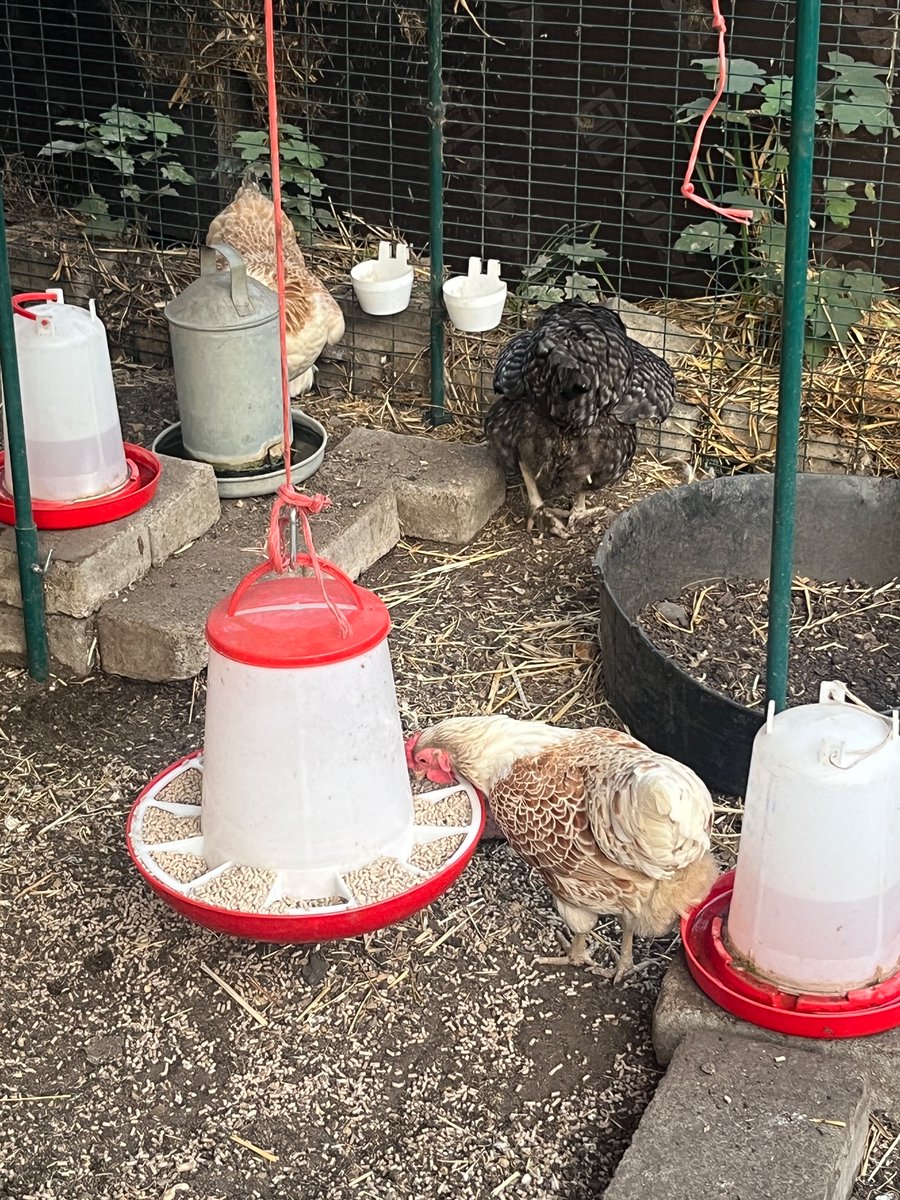 FSampers's tweet image. A beautiful night celebrating the launch of @openhouselondon 2024 🏢🏫🏛️ and consider the future of our built environment

“In challenging times being open means being united”