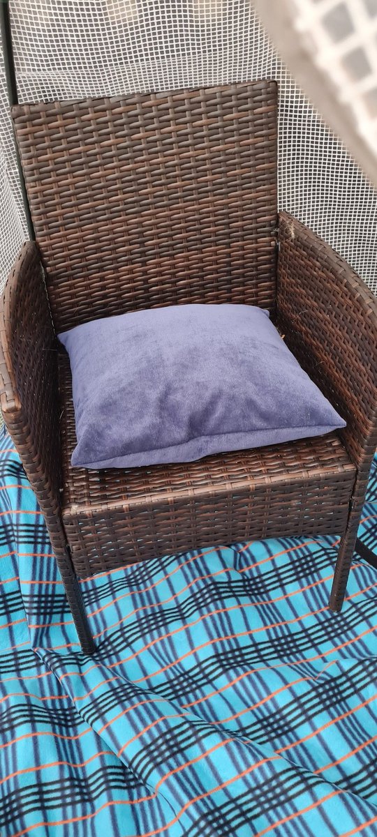 My son bought a greenhouse and before he could use it the cats started using it when it was raining and we were out. We put a chair in and a picnic mat so they would be more comfortable.  🐈‍⬛🐈🐈<a href="/jfkerr94/">Jordan Kerr</a>
