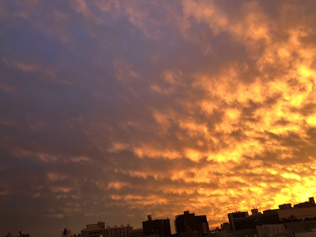 non_0917's tweet photo. 昨日の夕日…🌇
見惚れちゃいました😍 https://t.co/WHyWhOz9E9