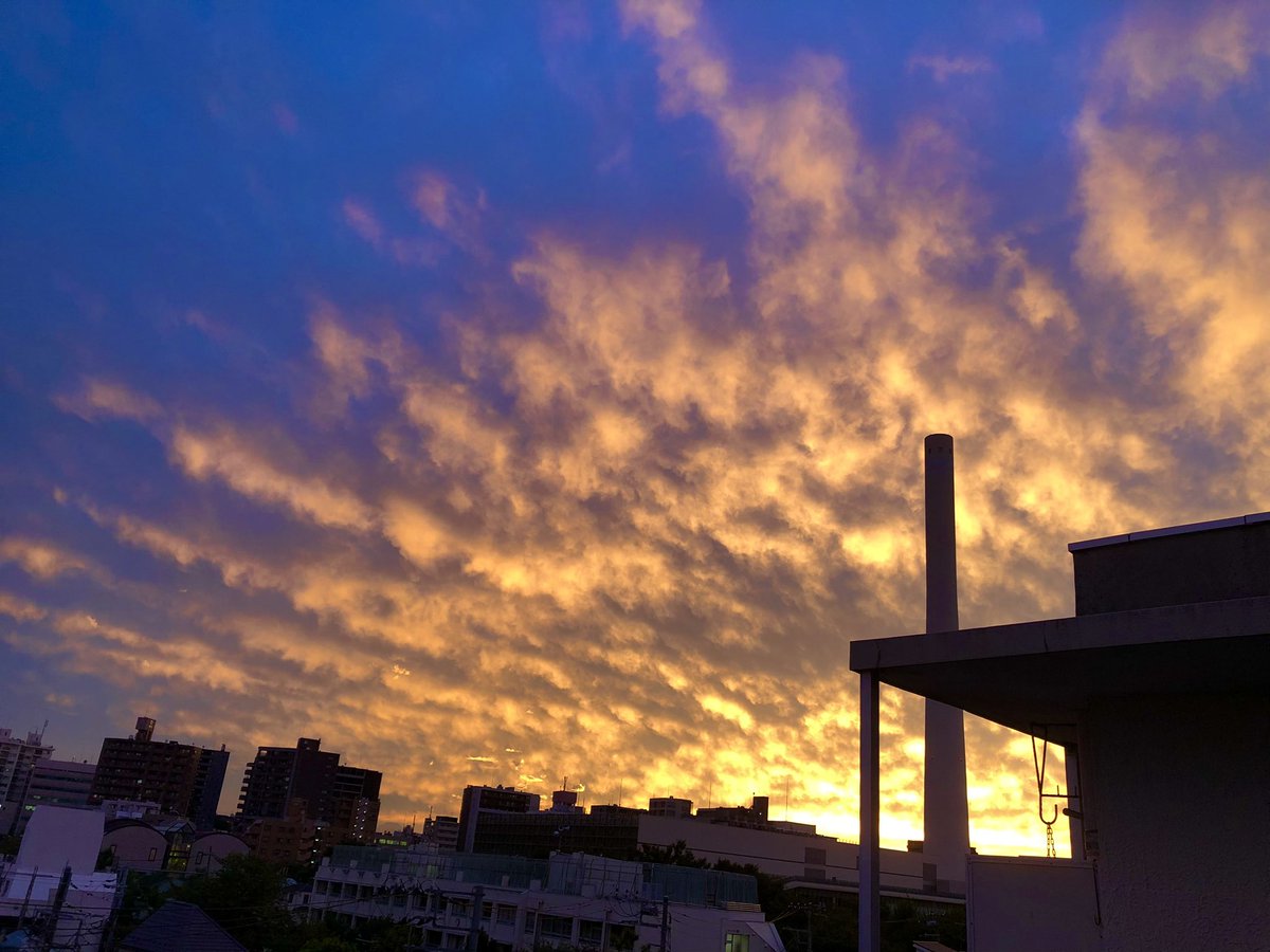 non_0917's tweet photo. 昨日の夕日…🌇
見惚れちゃいました😍 https://t.co/WHyWhOz9E9
