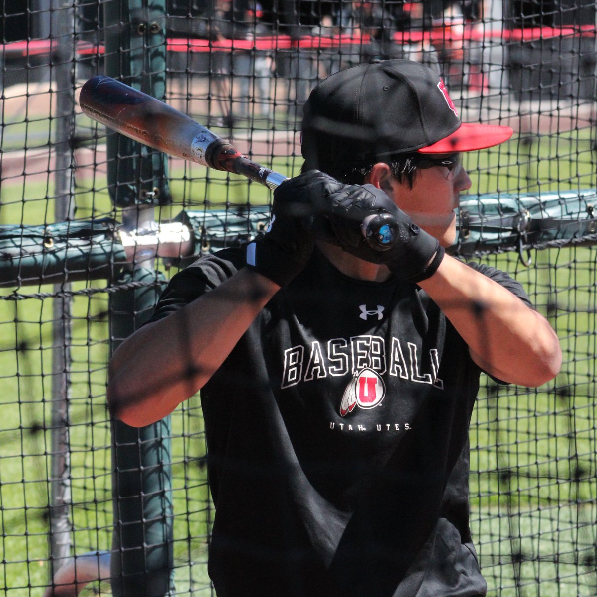 Utah Baseball tweet media