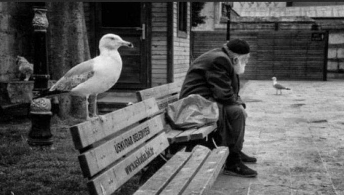 Kalıcı olmadığın yerde kendini bu kadar çok yorma!