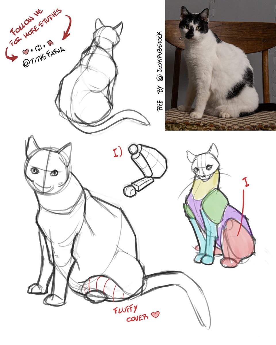 sorry, <a href="/theposearchives/">The Pose Archives ⚔️</a>, but I found the ultimate photogenic model. lol

Thank you so much for the ref, <a href="/JookpubStock/">Alfie 🦋🌙</a>!  I mean, thanks Jen's cat. :B

If you like my studies, share with your friends!  Aaand follow me for more daily studies!