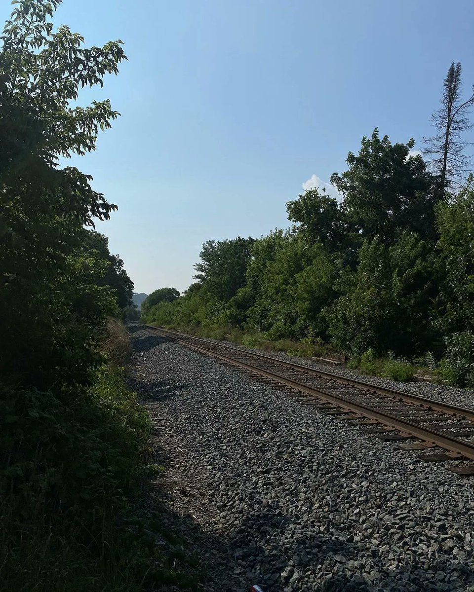 Don't go off track (Instagram:trees.photoalbum)

#HamOnt #Hamilton