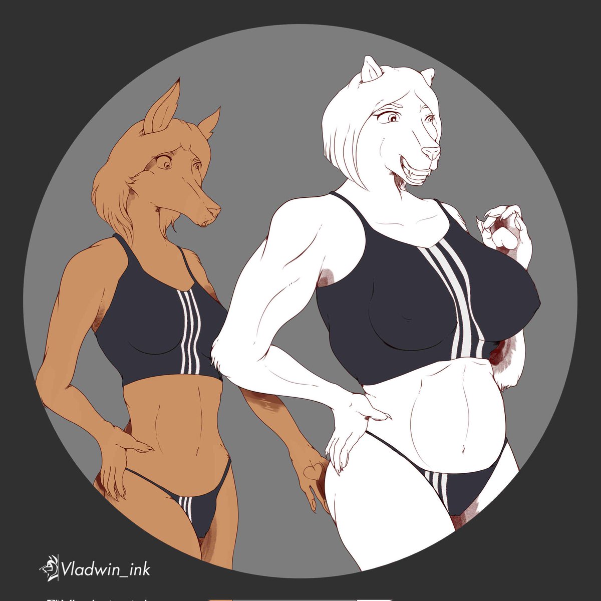 VladimirFur's tweet photo. Miriam and Polaris. Sports wear. #inkline phase.
.
(↱↲ o/or ♥)
. 
#illustration #draw #skecht #skechtbook #ink #inked #doodle #drawsession #vixen #polarbear #furryart #furry #characterdesign
▶️ https://t.co/ykyUxrI5XI