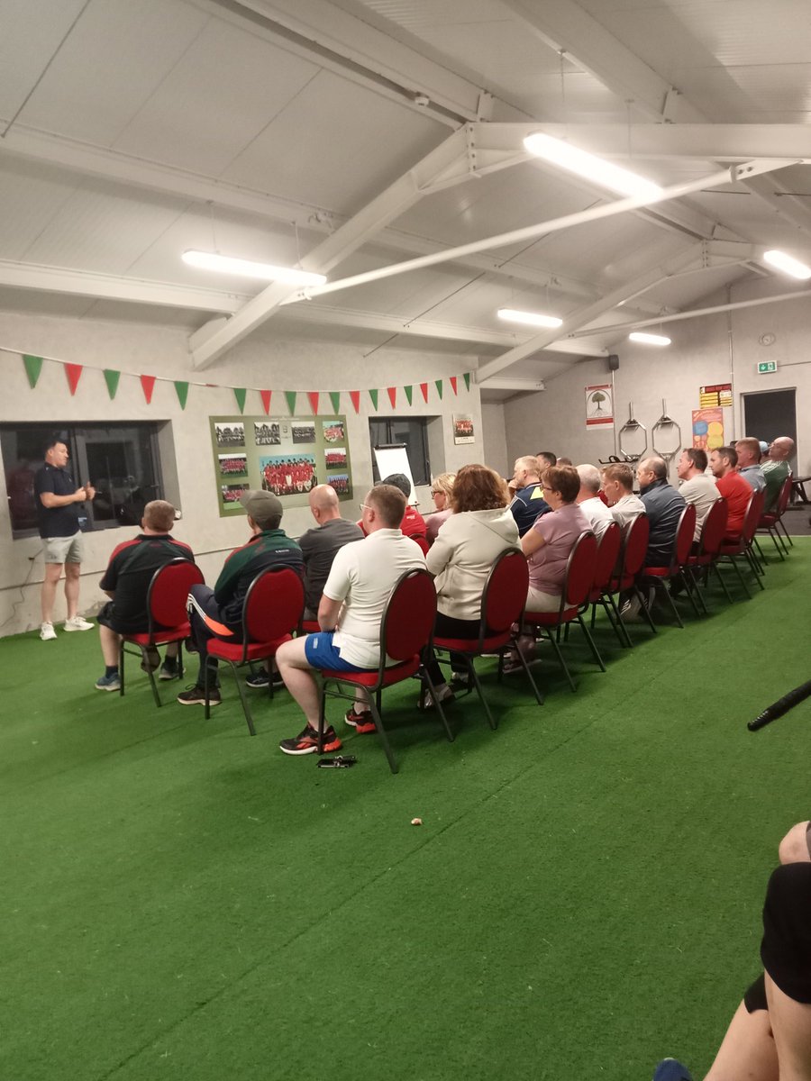 St. Martin's Hurling tweet media