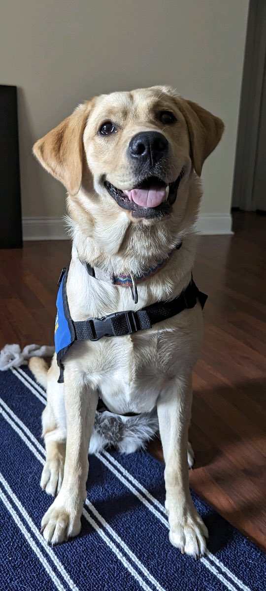 Dont forget to join us TONIGHT for our callout meeting at 7:30pm in Hodge Hall 3055!