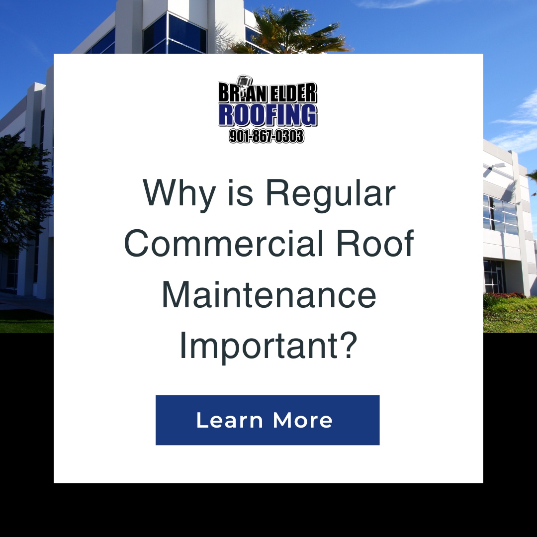 MemphisRoofs's tweet photo. Learn more about the positive impact that commercial roof maintenance can have on your property. #BrianElderRoofing

👉 https://t.co/9JxXrObILD https://t.co/GMjhVYpxNn