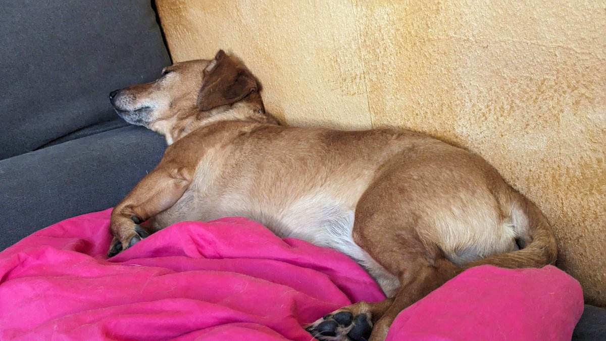 Ein letztes noch bevor sie wohl erstmal wieder weg sind für eine weile.