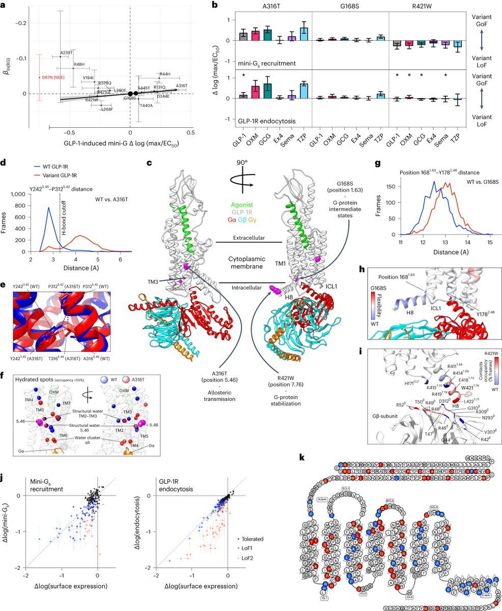 Daniel J Drucker tweet media