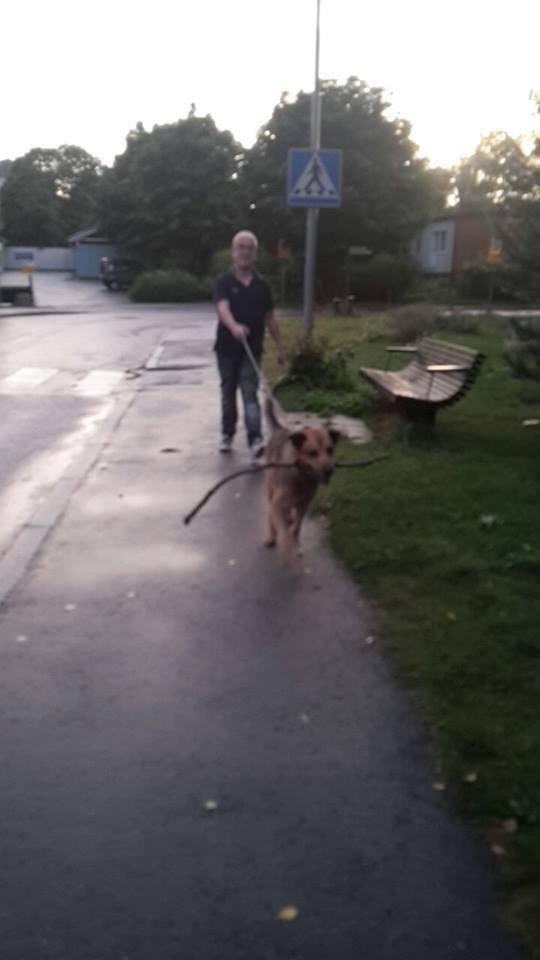 Bild på mig och min gamla hund. #henkeman #sollentuna #Worldbestdog #bestdogever #missmydog #mydog #rip #Sverige