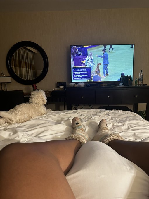 THEO and I love watching Dog Shows. https://t.co/YMDJn1sAeb<a href="/tag/sexpertcorner"class="tags"><span>#sexpertcorner</span></a>