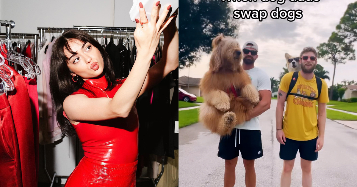 Creator and influencer trends brand marketers need to know about right now dlvr.it/SvmcQl