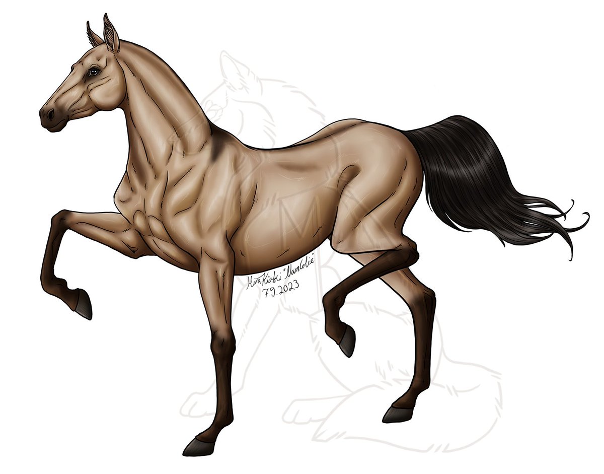 narncolie's tweet photo. Horse drawing inspired by the breed Akhal-Teke. https://t.co/WH5gsc5C09