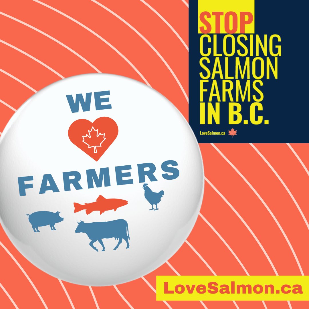 loveCDNsalmon's tweet photo. Salmon aquaculture is a critical contributor to food production in Canada, providing healthy, sustainable, local food for all Canadian families.
 
Tell the Liberal government in Ottawa to stop shutting down B.C. salmon farms: https://t.co/7dpc1n4suV #AgProud https://t.co/iaz5flekIs