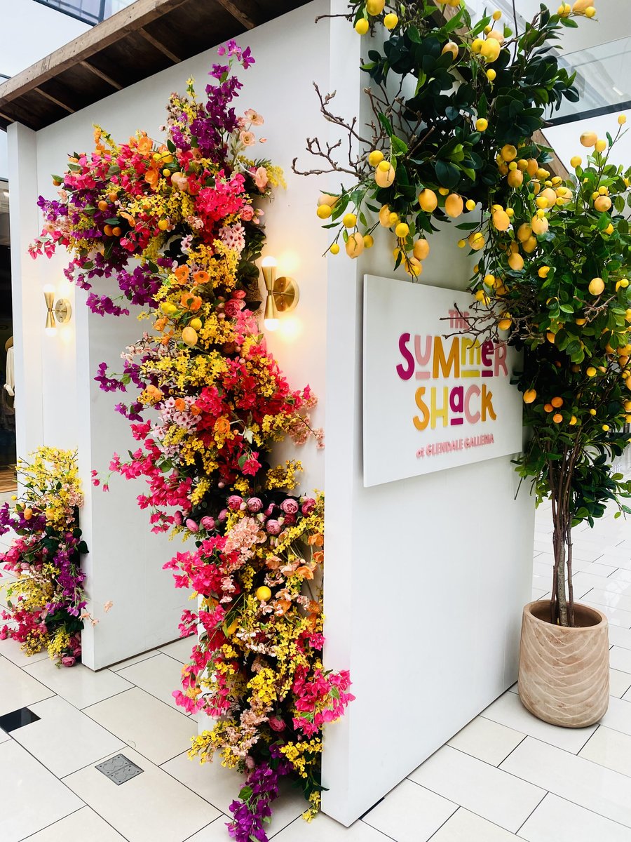 Just 10 more days until our Summer shack changes it's leaves for fall! Make sure to tag us for a repost in your photos/reels 🌻