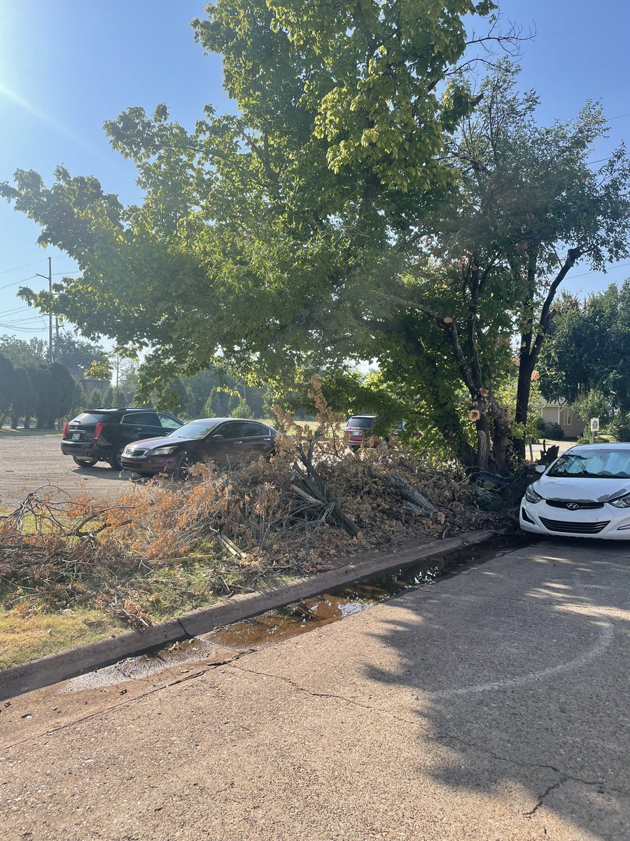 I just wanted to see when this cut up tree is expected to be picked up. It’s been been here for a month now. NW 30th and Hudson. Thanks! <a href="/OKCAction/">OKC Action Center</a> <a href="/cityofokc/">City of OKC</a>