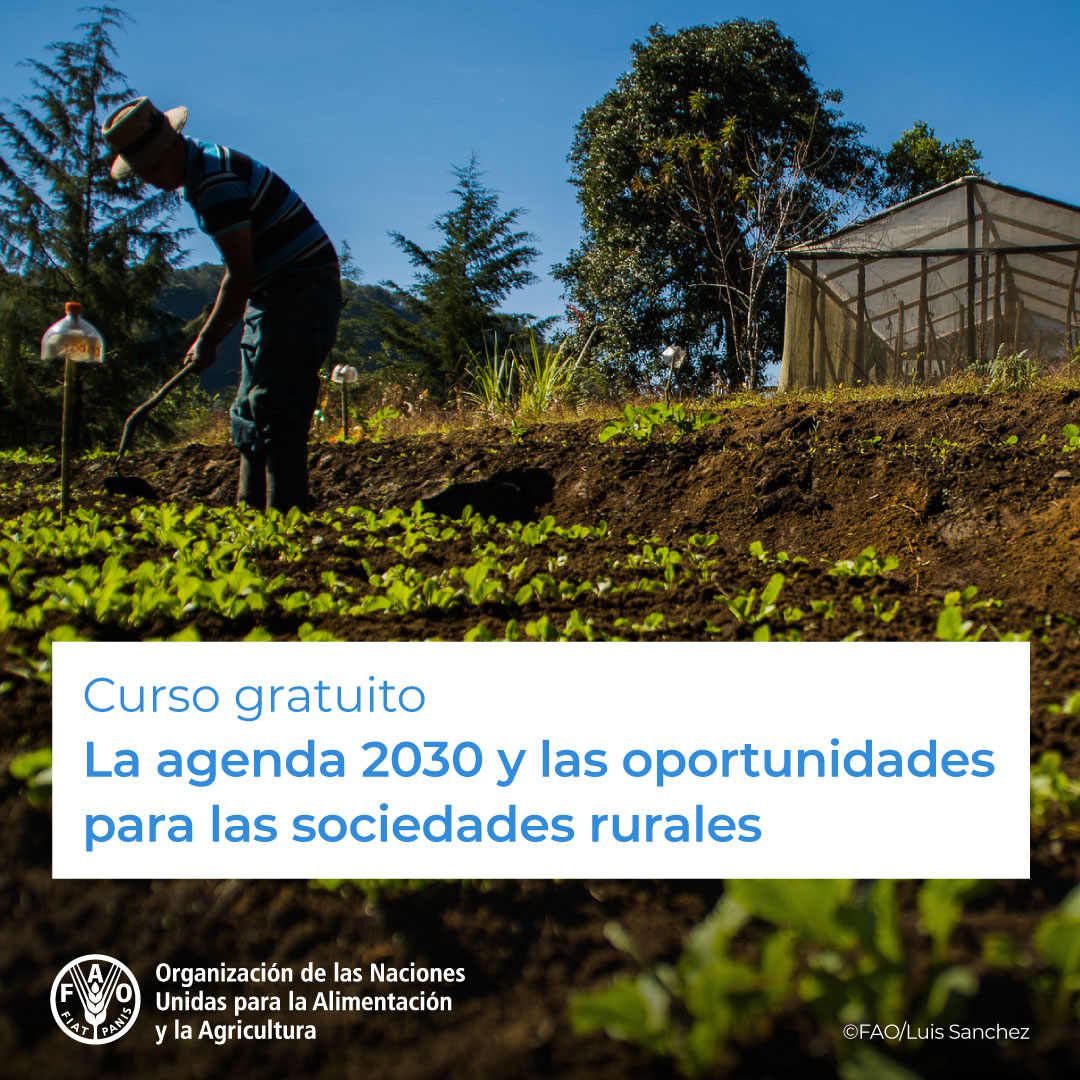 🎓 ¡Curso GRATUITO de <a href="/FAOCapacitacion/">Mohaimn Alamery</a>!

🌐 La #Agenda2030 y las oportunidades para las sociedades rurales

💡 Estrategias para alcanzar los #ObjetivosMundiales de Desarrollo Sostenible

¡Matricúlate! ➡️ bit.ly/3niB0EO

#SDGs #ODS #DesarrolloRural