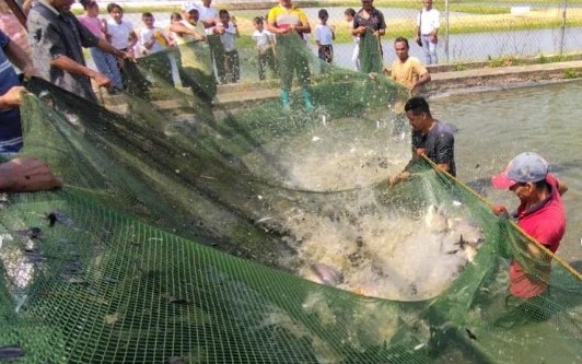 Mntra @Gabrielasjr señala que niñ@s apureños aprenden sobre cría de peces con la Ruta Científica,en su recorrido por la Estación Piscícola de San Fernando de Apure, aprendieron actividades que se realizan en el espacio, principalmente el proceso de pesca. #PuebloMásMaduro