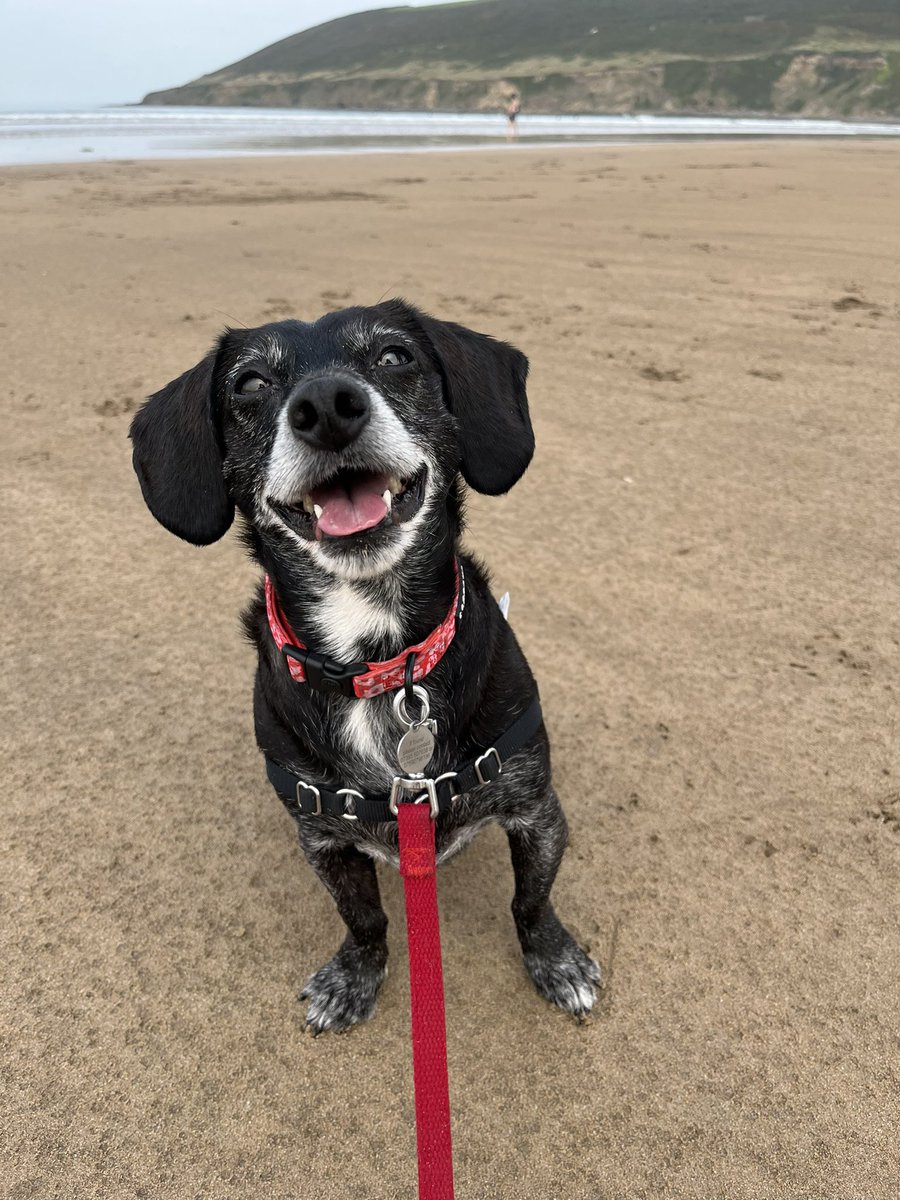 Happy place #mygirl #SauntonSands