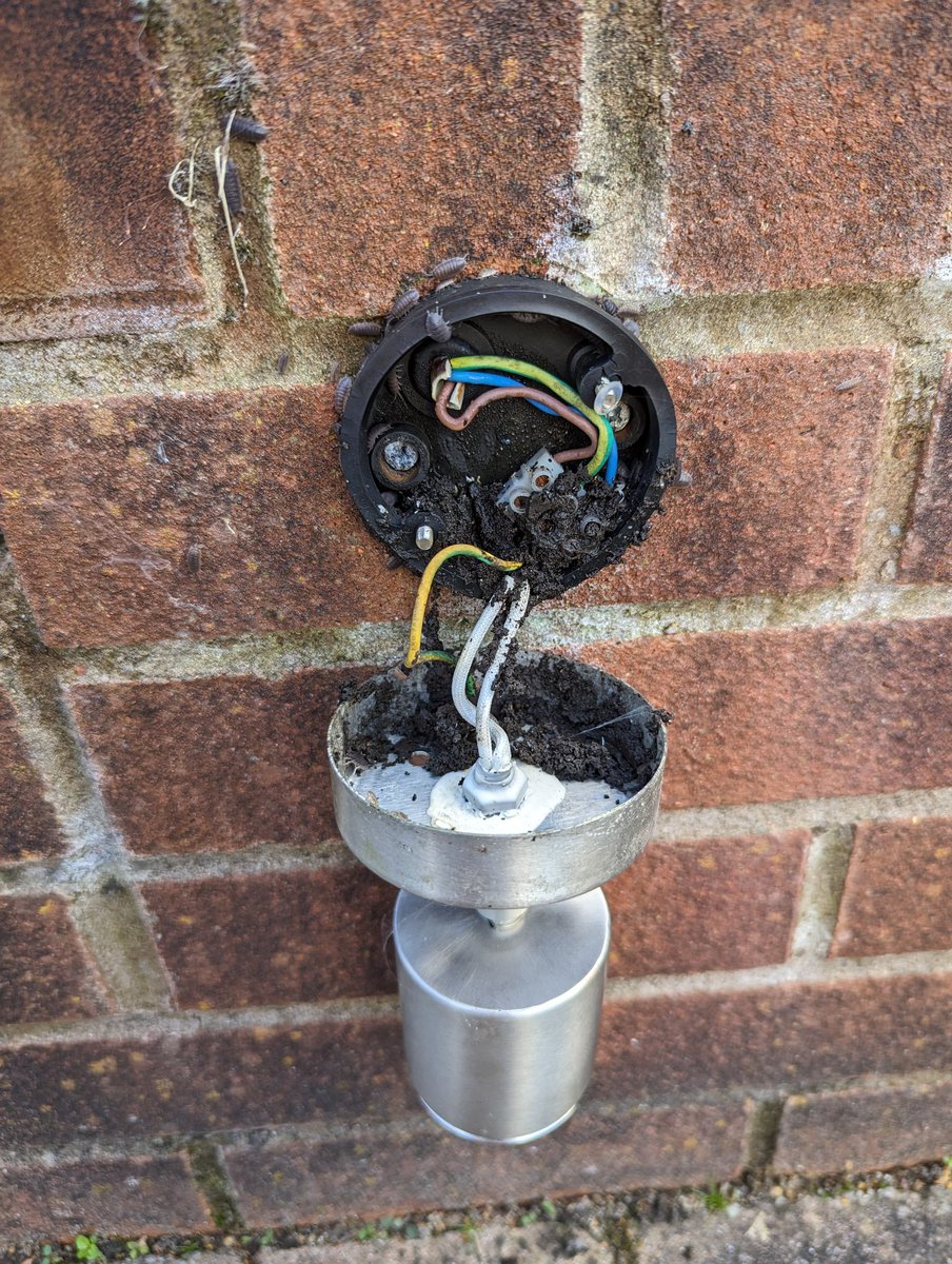 TheStereoGuy's tweet photo. Lights tripped out? Intercom failed? Maybe not. 🤔 woodlice absolutely love electrical equipment to make a nest in, and it causes havoc! Easily rectified though and not as serious as you may at first think..... https://t.co/jjZ1qsfAUY