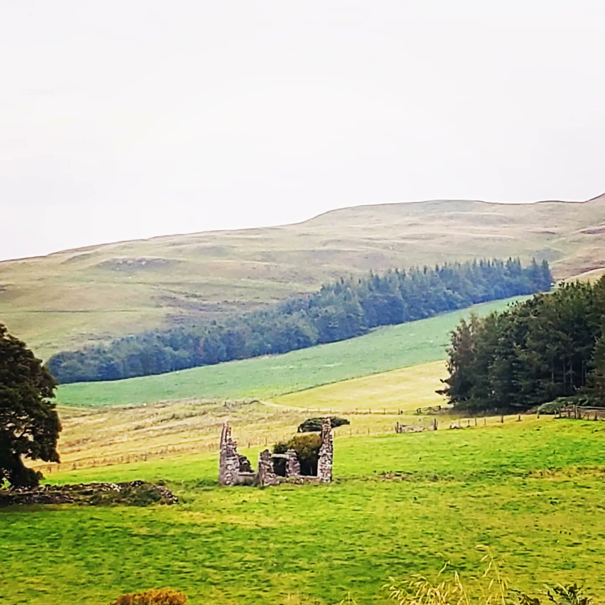 blonde_on_bikes's tweet photo. "The Streets and the Castles" walk today with the #ScottishBordersWalkingFestival today on parts of #DereStreet and the #PennineWay.  Smashing route over 11.7 miles , 2024ft elevation gain. Conditions were dry underfoot  but very humid🥵.  #ScottishBorders #Northumberland https://t.co/3i2nruaQwu