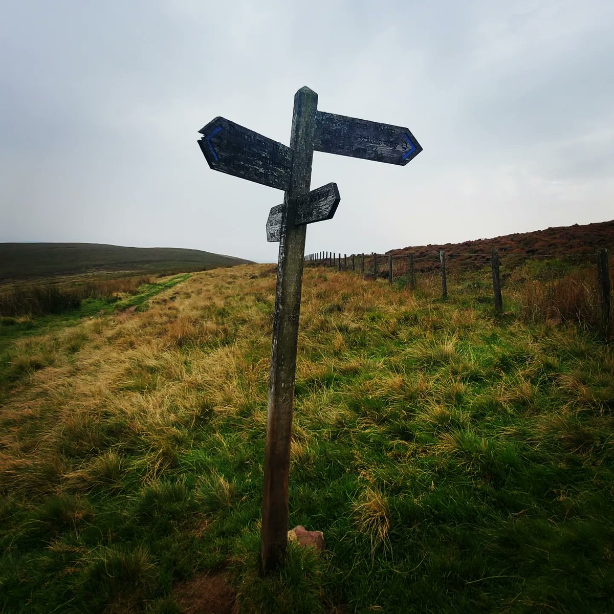 blonde_on_bikes's tweet photo. "The Streets and the Castles" walk today with the #ScottishBordersWalkingFestival today on parts of #DereStreet and the #PennineWay.  Smashing route over 11.7 miles , 2024ft elevation gain. Conditions were dry underfoot  but very humid🥵.  #ScottishBorders #Northumberland https://t.co/3i2nruaQwu