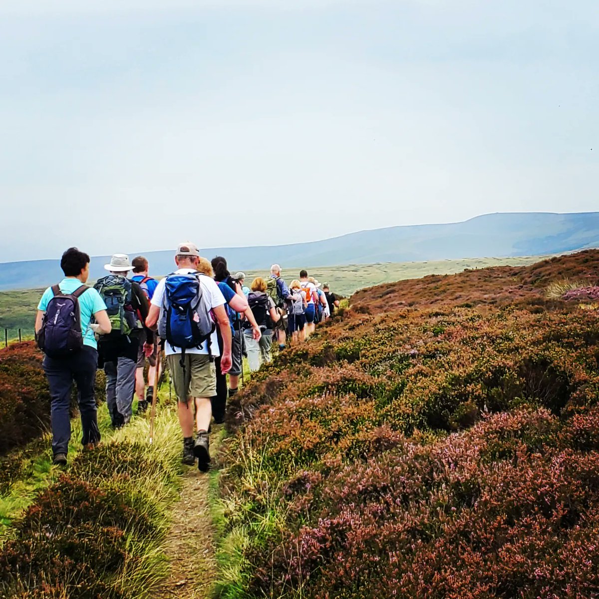 blonde_on_bikes's tweet photo. "The Streets and the Castles" walk today with the #ScottishBordersWalkingFestival today on parts of #DereStreet and the #PennineWay.  Smashing route over 11.7 miles , 2024ft elevation gain. Conditions were dry underfoot  but very humid🥵.  #ScottishBorders #Northumberland https://t.co/3i2nruaQwu