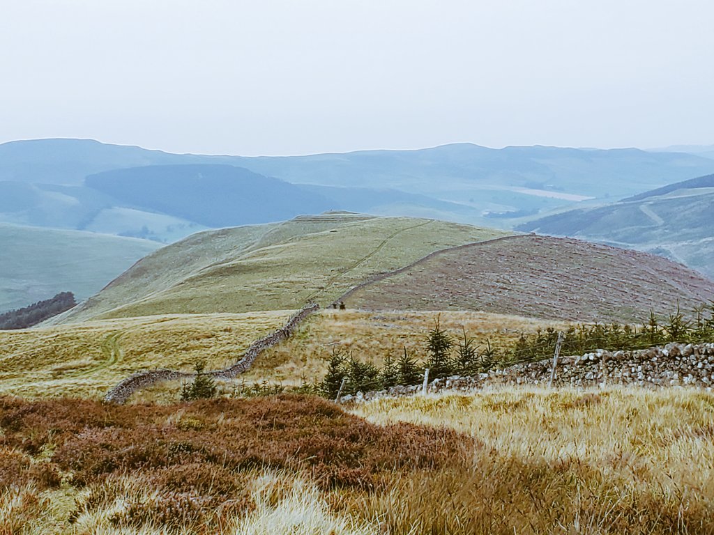 blonde_on_bikes's tweet photo. "The Streets and the Castles" walk today with the #ScottishBordersWalkingFestival today on parts of #DereStreet and the #PennineWay.  Smashing route over 11.7 miles , 2024ft elevation gain. Conditions were dry underfoot  but very humid🥵.  #ScottishBorders #Northumberland https://t.co/3i2nruaQwu