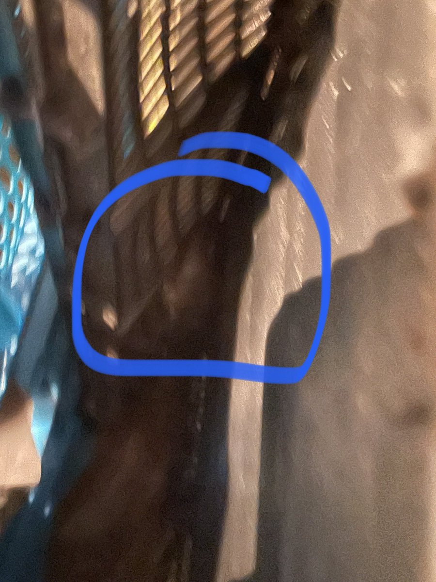 Wij hadden een muis gevangen! Maar die is in huis ontsnapt🙀😾 dus heeft tweevoeter em gevangen en buiten gezet, dus nu moeten we van voren af aan beginnen😿