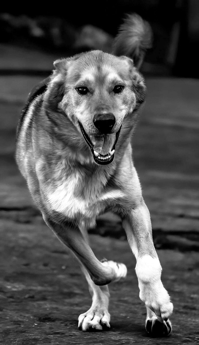 Adrian Tilsed tweet media