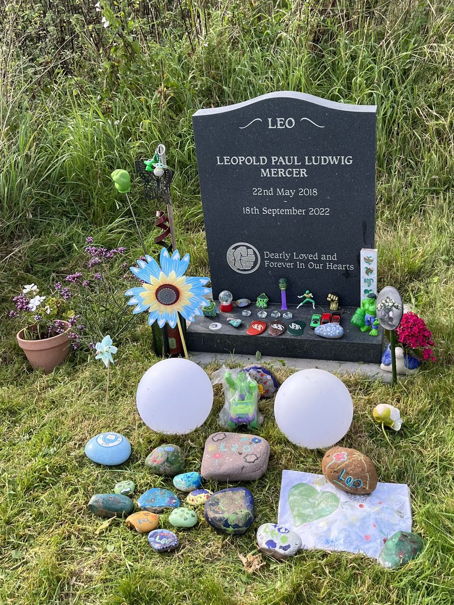 Dr Eva Frickel tweet media