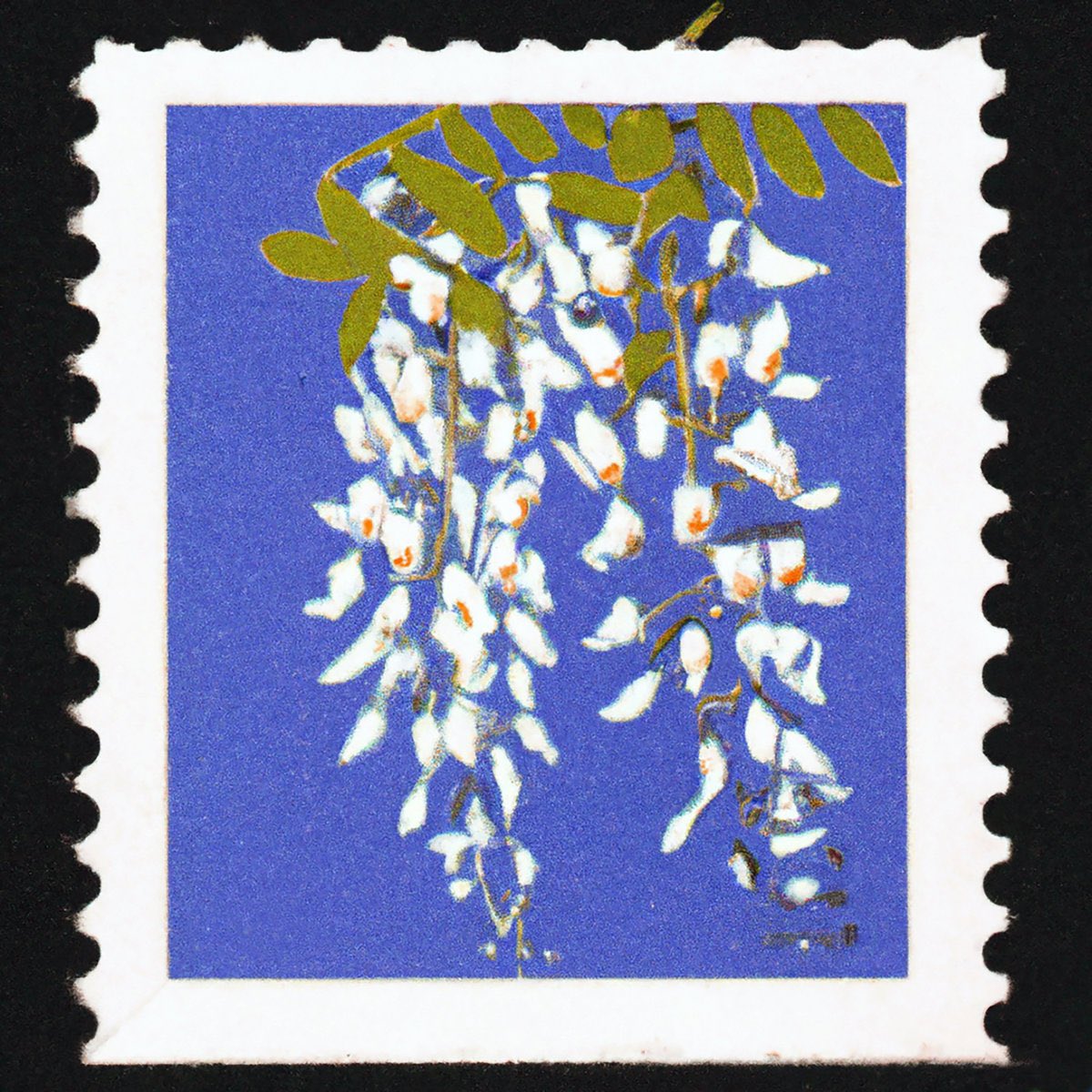 New Commute tweet media