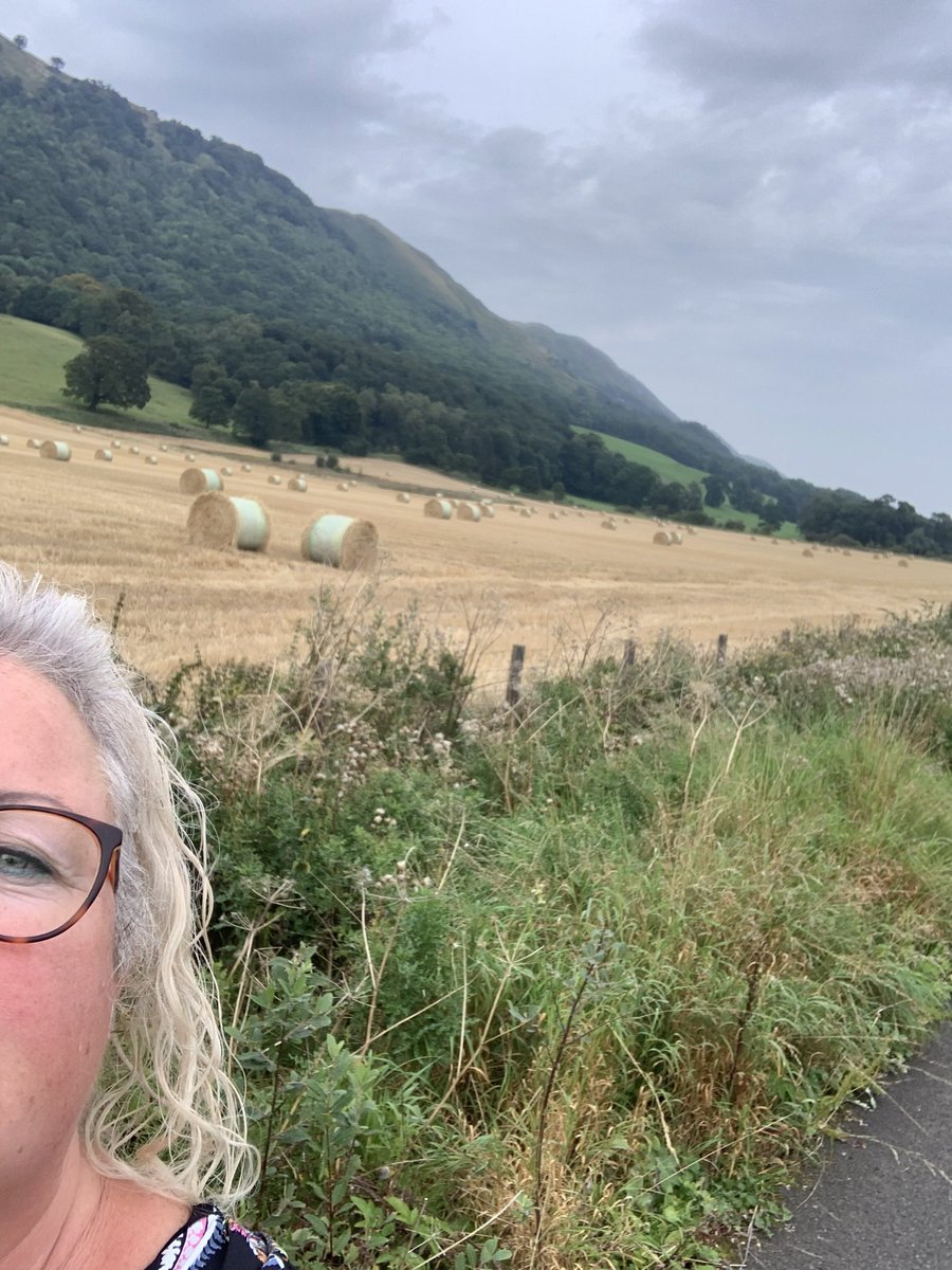 VintageCathy tweet media