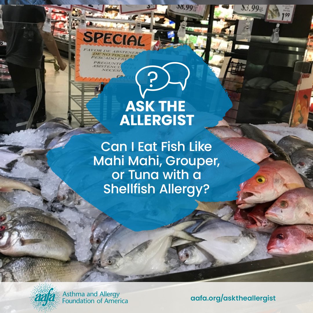 kfatweets's tweet image. People with a #ShellfishAllergy can be allergic to different types of shellfish. People can be allergic to shellfish and fish. But people with shellfish allergies are not at an increased risk for #FishAllergy. community.aafa.org/db/ask-the-all…