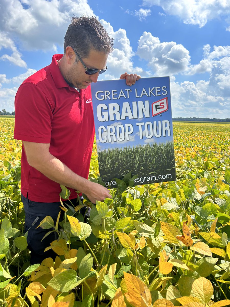Out checking fields near you! This is one of the yellower fields we have seen in the Mitchell area! #glgtour2023