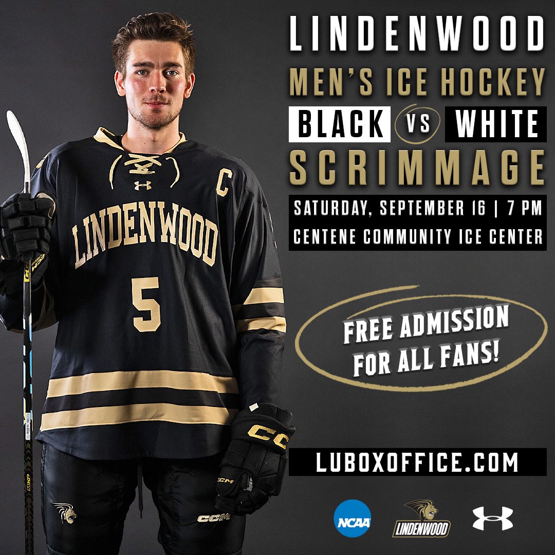 Two wins for Lions ice hockey this weekend – Lindenlink