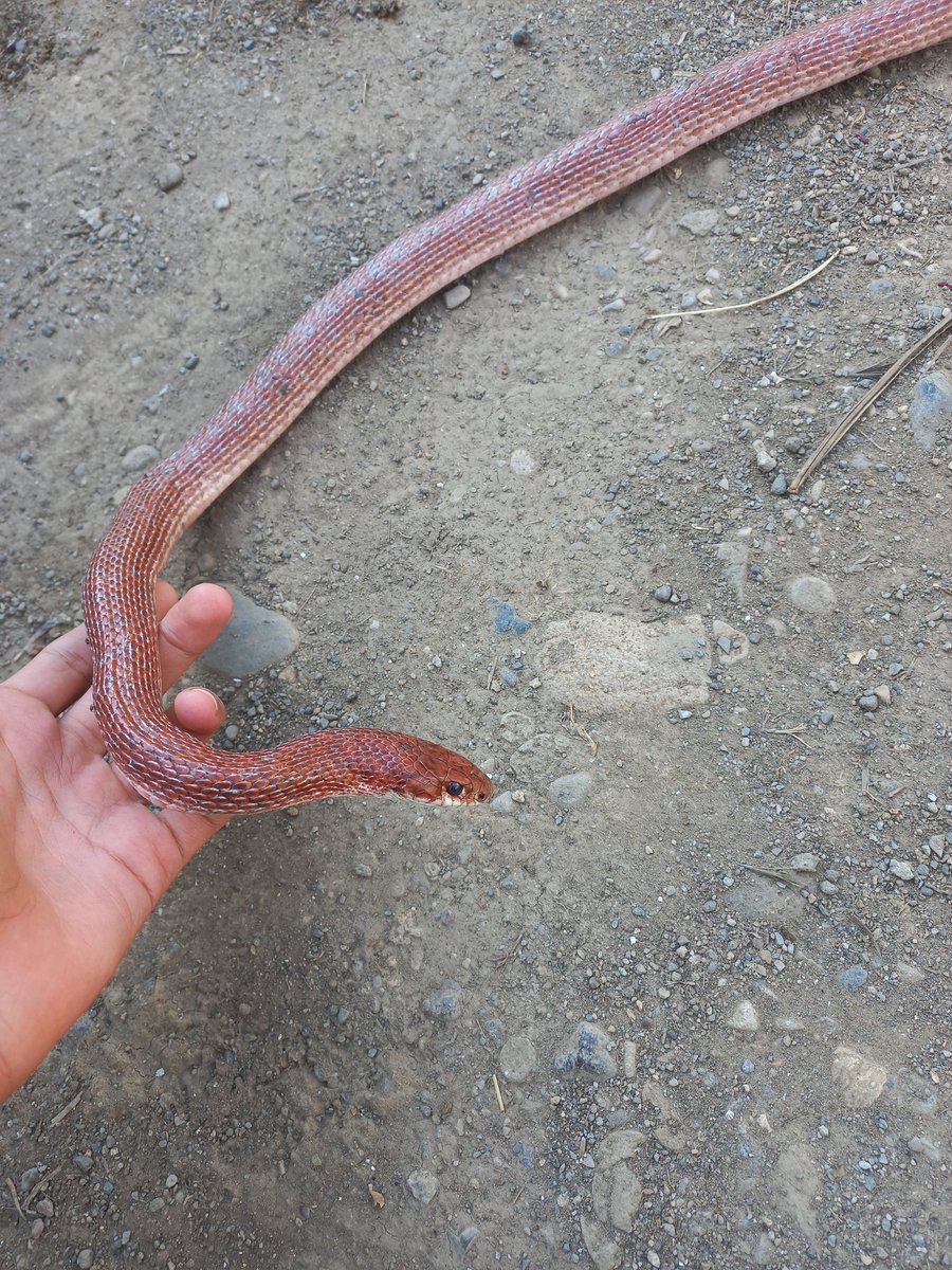 Bu balaca size kimi xatirladirsa etiketliyin😂