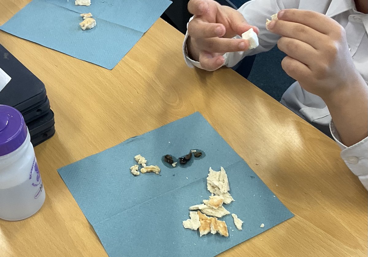 MrsHunter tweet media