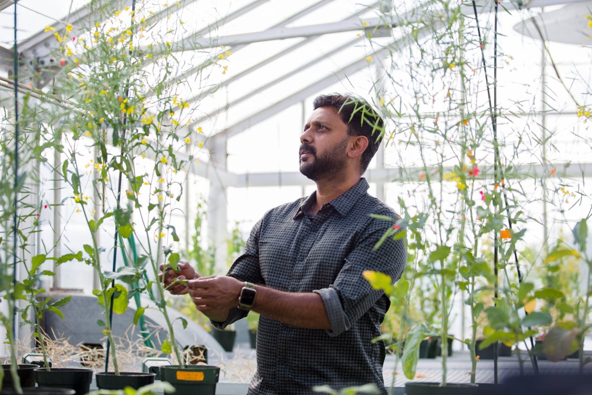 UCalgary Science tweet media
