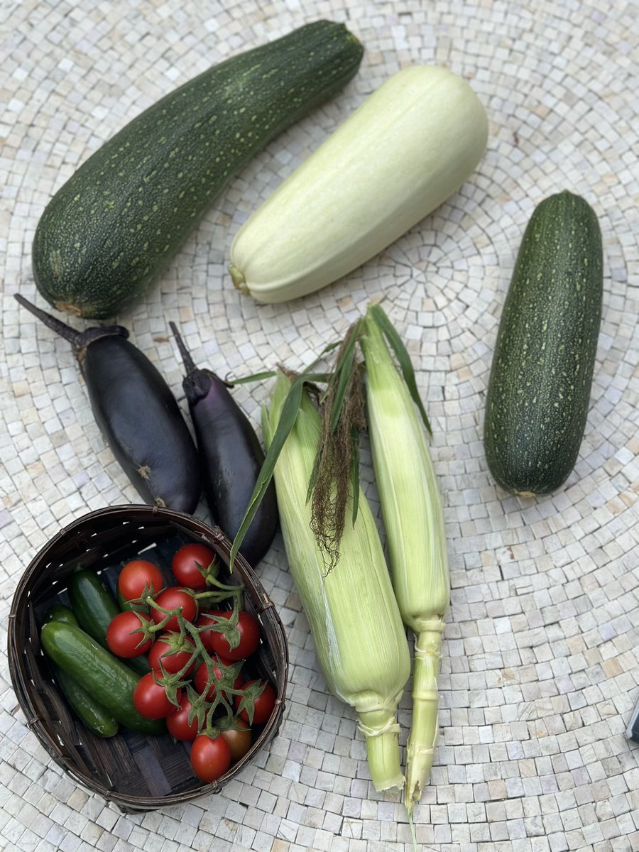 zanzaneet's tweet photo. With glorious weather comes glorious produce! It feels like summer has just begun in the UK. Garden aubergines are thriving in this weather! Are we having an #IndianSummer this year? #summerproduce #marrow #courgettes #aubergines #cherrytomatoes #sweetcorn #cukes #growyourown https://t.co/eVDuZhxXeX