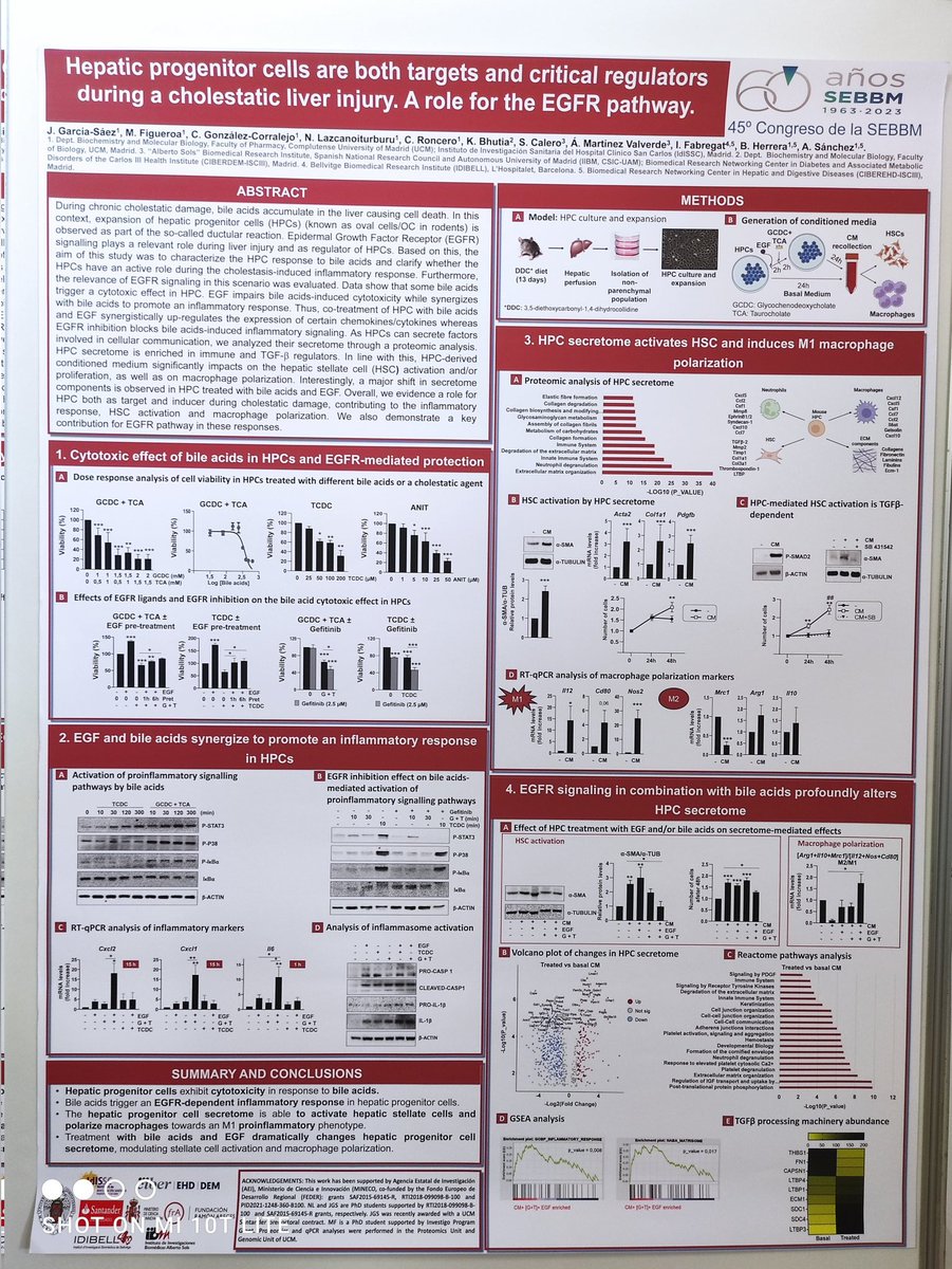Nuestro estudiante de Doctorado <a href="/juagarsae/">Juan García Sáez</a> presentando el trabajo de investigación en #45congresosebbm 
<a href="/SEBBM_es/">SEBBM</a> 
Agradecimientos a los colaboradores y las fuentes de financiación
<a href="/IsabelFabregat/">Isabel Fabregat</a>
<a href="/unicomplutense/">Complutense</a> 
<a href="/CienciaGob/">Ministerio de Ciencia, Innovación y Universidades</a>